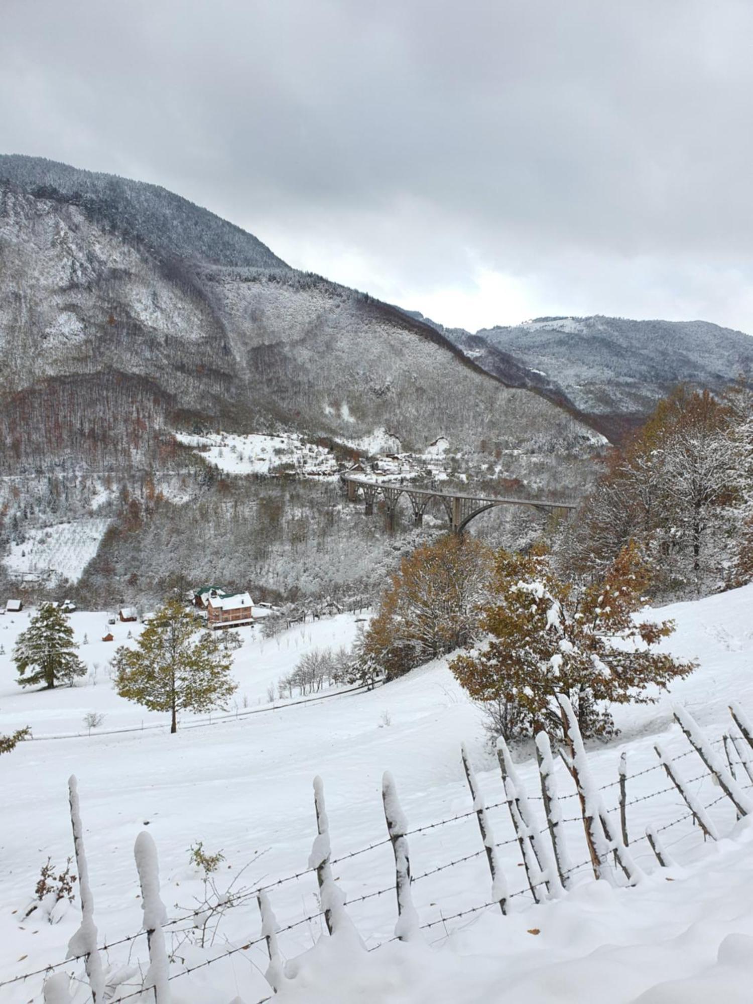 Etno Villas Tara&Petra Žabljak Extérieur photo