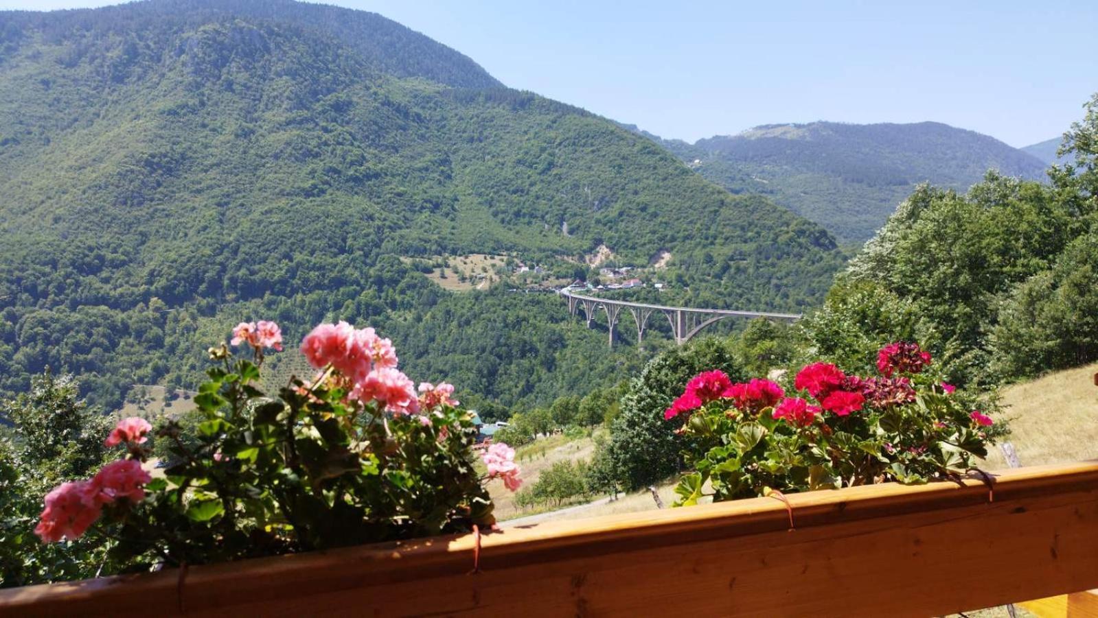 Etno Villas Tara&Petra Žabljak Extérieur photo